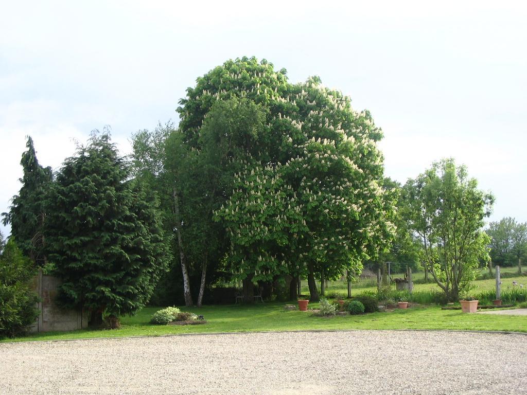 Bed and Breakfast Les Malvaux Huriel Esterno foto